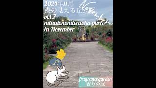 【2024年11月 港の見える丘公園 香りの庭】fragrance garden