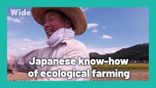 Combining high technology and ancient wisdom: Japan | WIDE | FULL DOCUMENTARY