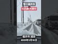 「雪の福井市」1週間連続の大雪ですが、ピークは過ぎてた様です。今日は、注意報：強風、波浪、雷　だけが出ていて、目立った道路規制もありませんでした。福井市 経田。2025年2月10日。