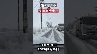 「雪の福井市」1週間連続の大雪ですが、ピークは過ぎてた様です。今日は、注意報：強風、波浪、雷　だけが出ていて、目立った道路規制もありませんでした。福井市 経田。2025年2月10日。