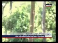 mtv lebanon reforestation of lebanon.mp4