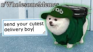 1+ HOUR OF WHOLESOME MEMES