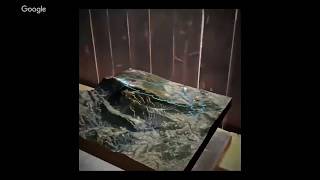 An overview of AR and 3D for apps