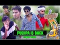 PUSHPA IS BACK || The Comedy Kingdom