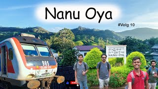 කෝච්චියෙන් නානුඔයට 🌱🚂 #Nanuoya