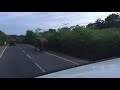 බුත්තල පාරේ අලියට කරන දේ 😂😁wild elephant buttala sri lanka ❤️🇱🇰