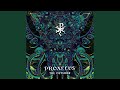 Sona-Nyl
