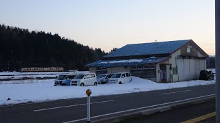 廃墟の車屋に、雪に埋まった草ヒロ廃車多数発見、夏は草で見えない。