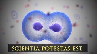 Frequency Therapeutics FX-322 Mechanism Demo (2019)