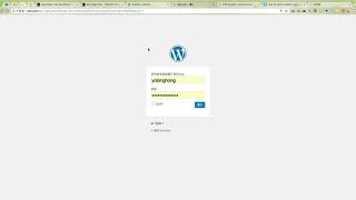 WordPress外掛 Code Snippets 使用說明