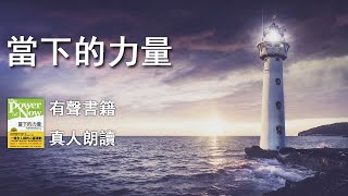 02《當下的力量2》有聲書,真人朗讀,書籍閲讀,書籍朗讀,靈性書籍,在綫聽書