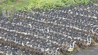 台大校內oBike違停逾千輛 業者不願領 20180924 公視中晝新聞