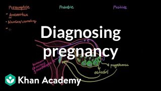 Diagnosis of pregnancy | Reproductive system physiology | NCLEX-RN | Khan Academy