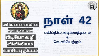 Day 42: எகிப்தில் அடிமைத்தனம் \u0026 வெளியேற்றம் | விடுதலைப் பயணம் 24; லேவியர் 17-18; திருப்பாடல்கள் 78