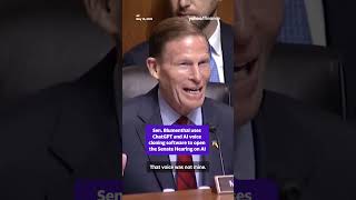 Senate uses ChatGPT and AI to open its hearing 💻 👀 #shorts
