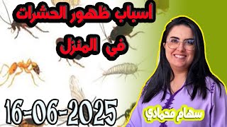 أسباب ظهور الحشرات في المنزل باغي تعرف سهام محمادي 2025-06-16
