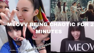 MEOVV being chaotic for 2 minutes ✨