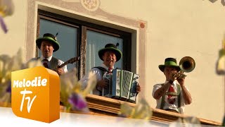 Schneiderwirt Trio - Der wird beim Wirt sein (Offizielles Musikvideo)