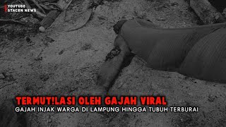 Gajah di Lampung Inj4k Warga Hingga Termut!lasi Viral!