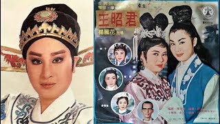 王昭君12(完結篇)--楊麗花歌仔戲1968黑膠唱片