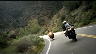 Adventure Touring with the KTM 990 and Yamaha Super Ténéré - /RideApart