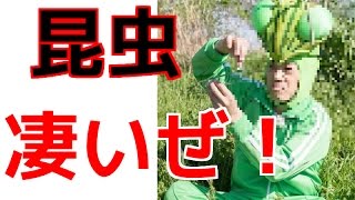 【香川照之】「昆虫すごいぜ！」がネット席巻！