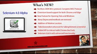 Selenium 4 - Handling New Tabs and Windows
