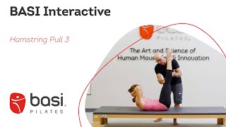 BASI Interactive - Hamstring Pull 3