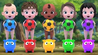 color ball Finger Family & Itsy bitsy spider +more Nursery Rhymes & Kids Songs | Kindergarten