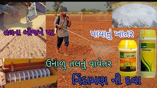 #Sesame #2025 ઉનાળુ તલનું વાવેતર પાયાનું ખાતર  નિંદામણ દવા તલના બીજને પટ