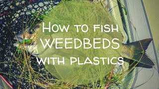 How to fish WEEDBEDS with plastics! Zman Motor Oil GrubZ