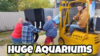 Moving a Massive Bowfront Aquarium to make room for New Project