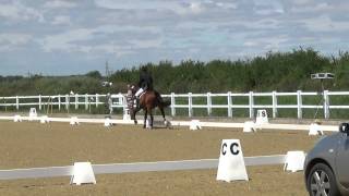 British Dressage Novice 23 (2012)