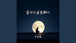 拿什么养家糊口 (DJ阿能版)