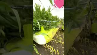 #newvideo #farming મકાઈ કાપવા નું ટેક્ટર આવી ગયું