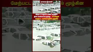 கிரேட்டர் நொய்டாவில் ஆற்றில் திடீர் வெள்ளப்பெருக்கு.. 400க்கும் மேற்பட்ட கார்கள் நீரில் மூழ்கின