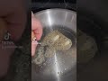 Trick to cooking eggs on stainless steel pan