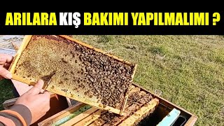 ARILARA KIŞ BAKIMI YAPILMALIMI ?