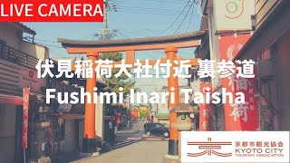 【LIVE】京都 伏見稲荷大社付近 裏参道ライブ中継カメラ