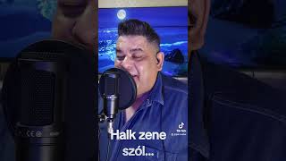 Pál Csaba-Halk zene szól-Zongora- villás György-Cover🥰🎤🥰🎹🎹🎹🎹🎹🎹🎹🎹