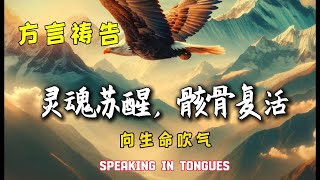 灵魂苏醒，骸骨复活🔥🔥🔥。方言祷告加油站🔥方言祷告|说方言|SPEAKING IN TONGUES|烈火方言