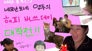 [Vlog]생파를 3일 연속하고 코로나걸린 미친 영애(?)