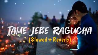 Tame Jebe Ragucha Bhari Bhala Lagucha-Odia Lofi (Slowed+Reverb) | Humane Sagar | Sital Kabi |