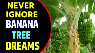 What Does Banana Tree Dream Meaning | Dreaming of Banana Trees | Banana Tree Dream Interpretation