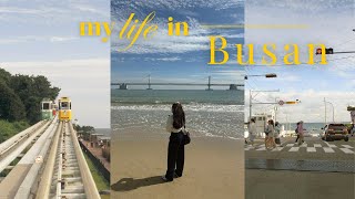 busan vlog 🇰🇷: zm-illenial, gwangalli & haeundae 🌊, blueline sky capsule, busan x the sky, yacht 🎆