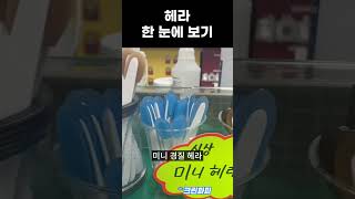 모든 헤라종류 총정리