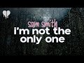 sam smith - i'm not the only one (lyrics)