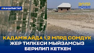 КАДАМЖАЙДА 1,2 МЛРД СОМДУК ЖЕР ТИЛКЕСИ МЫЙЗАМСЫЗ БЕРИЛИП КЕТКЕН