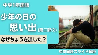 少年の日の思い出（第二部②）ヘルマンヘッセ　解説授業【中１国語】