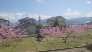 山梨市～春日居町駅（春）、中央本線、進行方向左側車窓から/Yamanashishi~Kasugaichō